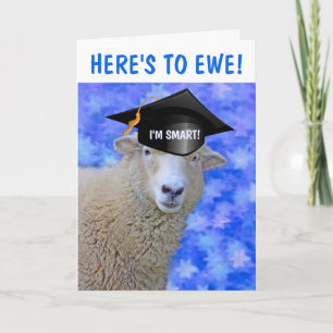 Smart Sheep Afstuderen Kaart