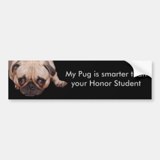 Smarter Pug Bumpersticker