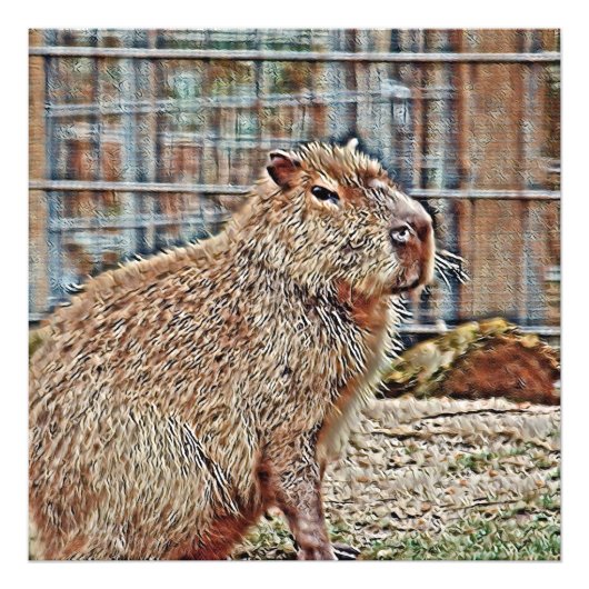 SmartMix Animal - Capybara Foto Afdruk (Voorkant)