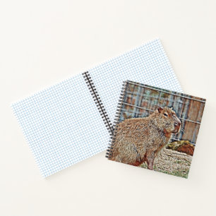 SmartMix Animal - Capybara Notitieboek