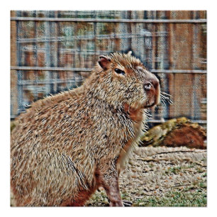 SmartMix Animal - Capybara Perfect Poster