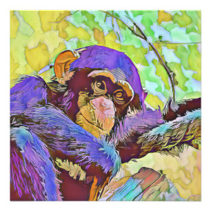 smartmix dier - chimpansee 3 foto afdruk