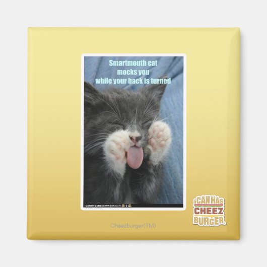 Smartmouth kat magneet (Voorkant)