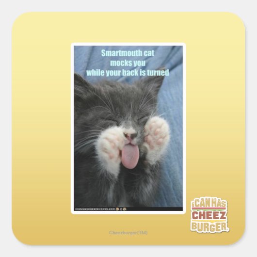 Smartmouth kat vierkante sticker (Voorkant)