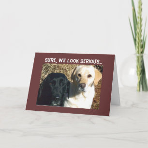 SMEEK OM SNEL VOER WENSEN KAART