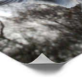 Smeeuw in het Poster (Hoek)