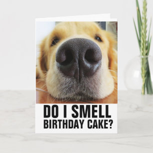 SMEL IK BIRTHDAY CAKE? FUNNY CLOSEUP DOG KAARTEN
