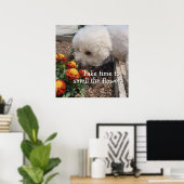 Smell the Flowers  Poster (Thuiskantoor)