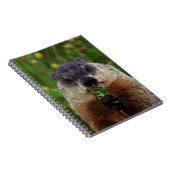 Smelling Spring Groundhog Notitieboek (Rechterzijde)
