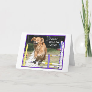 'Smile' Golden Retriever Agility Birthday Card Kaart