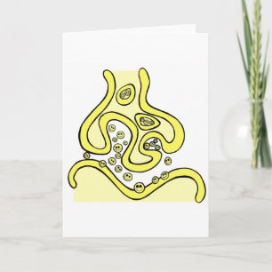 Smile Neurotransmitters Kaart