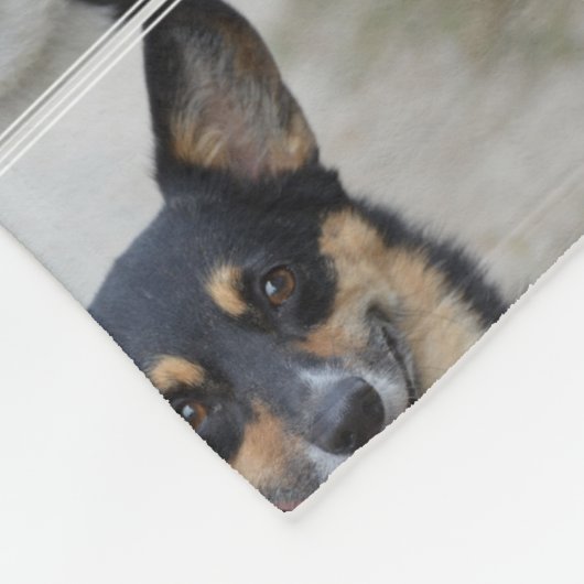 Smiling Corgi Fleece Deken (Hoek)