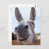 Smiling Donkey Briefkaart (Voorkant / Achterkant)