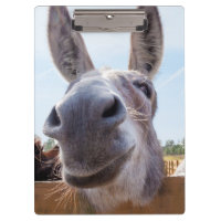 Smiling Donkey