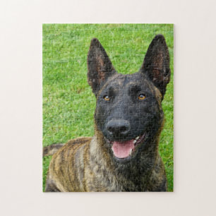 Smiling Dutch Shepherd Portrait Legpuzzel