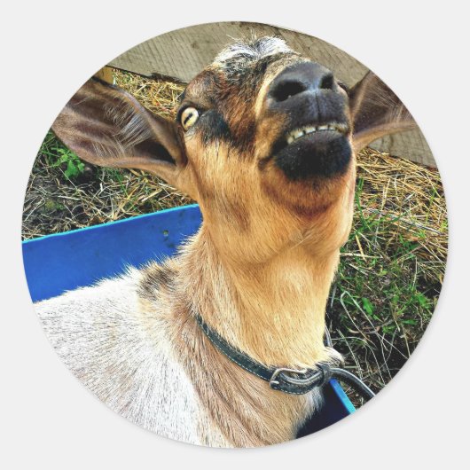 Smiling Goat - Blad van Stickers (Voorkant)