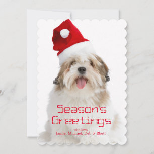 Smiling Lhasa Apso Dog Wearing Santa Hat Feestdagenkaart