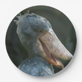 Smiling Shoebill Papieren Bordje (Voorkant)