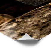 Smiling Stone Totem Cambodia - Poster ART Square (Coin)