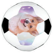 Smiling Welsh Corgi Voetbal (Gedraaid)