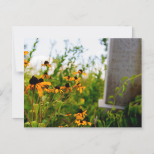 Smith Cemetery, Natuur Preserve, Verenigde Staten Briefkaart