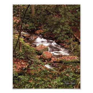 Smith Creek Foto Afdruk