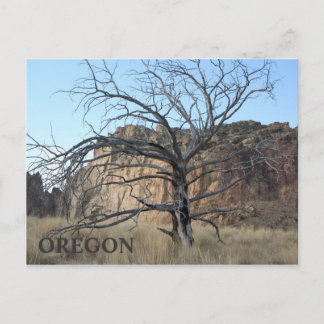 Smith Rock Rocks Briefkaart