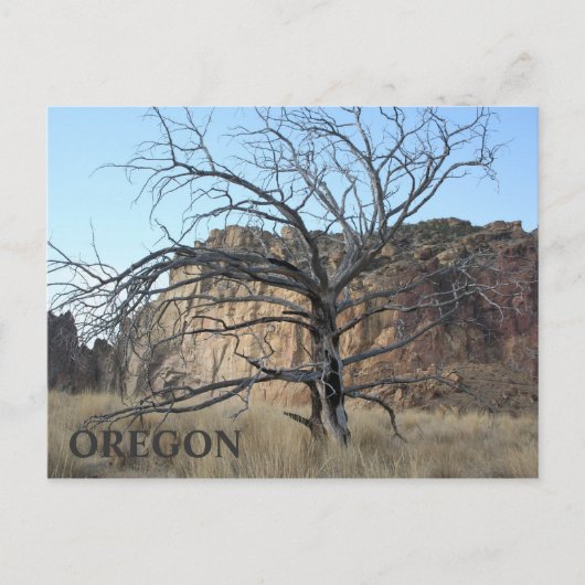 Smith Rock Rocks Briefkaart (Voorkant)