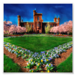Smithsonian Castle Garden Cherry Blossom Foto Afdruk