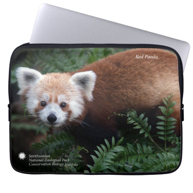 Smithsonian | Red Panda Laptop Sleeve (Voorkant)
