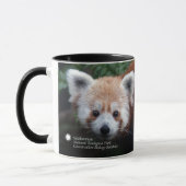 Smithsonian | Red Panda Mok (Links)