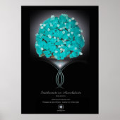 SMITHSONITE AURICHALCITE POSTER (Voorkant)