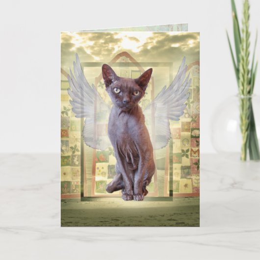 Smoke Devon Rex Sphynx Engel Kat Pet Sympathie Kaart (Voorkant)