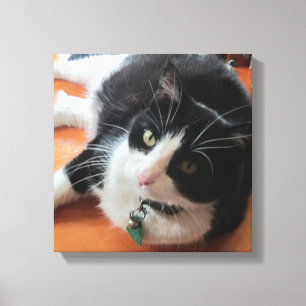 Smokey De Kat Canvas Print