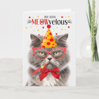 Smokey Grey Perzische Kat MEOWvelous Verjaardag