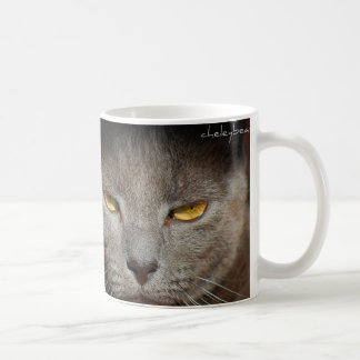 Smokey la tasse de chat