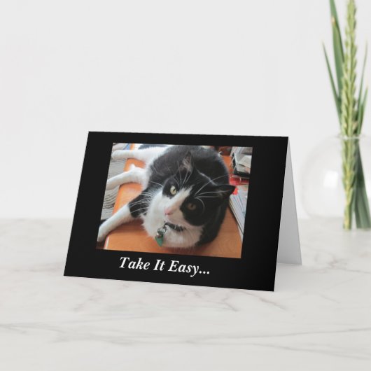 Smokey le chat obtiennent bientôt la carte bonne (Devant)