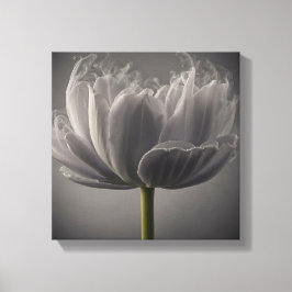 Smokey Tulip Canvas Afdruk
