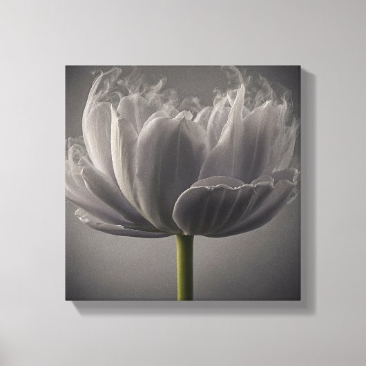 Smokey Tulip Canvas Afdruk (Voorkant)