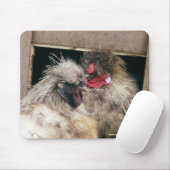 Smokkel Silkie Chickens Hens - Poultry Mousepad Muismat (Met muis)