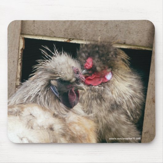 Smokkel Silkie Chickens Hens - Poultry Mousepad Muismat (Voorkant)