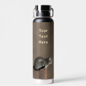 Smoky Gray Tabby Cat Waterfles (Achterkant)