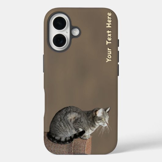 Smoky Grey Tabby Kat Case-Mate iPhone Case (Achterkant)
