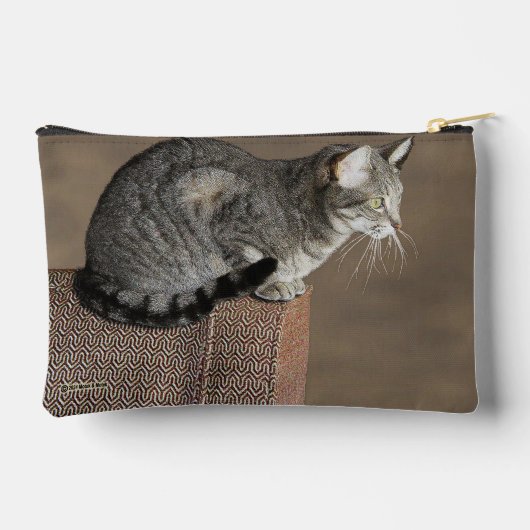 Smoky Grey Tabby Kat Etui (Achterkant)