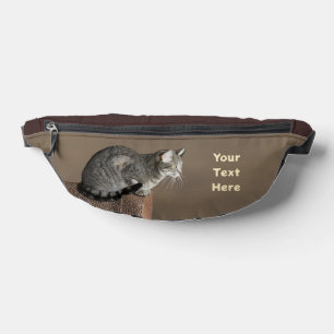 Smoky Grey Tabby Kat Heuptasje