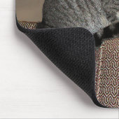 Smoky Grey Tabby Kat Muismat (Hoek)