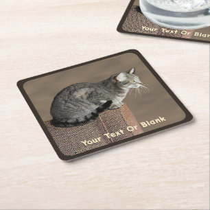Smoky Grey Tabby Kat Vierkante Kartonnen Onderzetter
