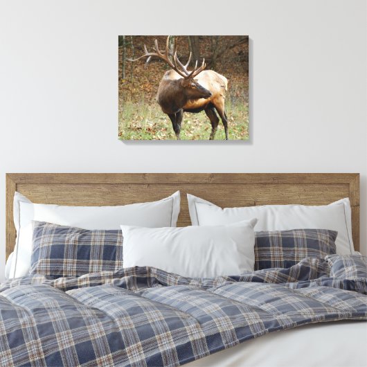 Smoky Mountain Elk Canvas (Insitu (Slaapkamer))