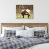 Smoky Mountain Elk Canvas Afdruk (Insitu (Slaapkamer))