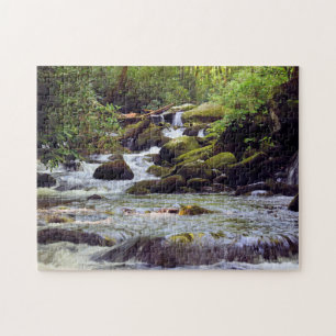 Smoky Mountain Stream - 11x14 Legpuzzel